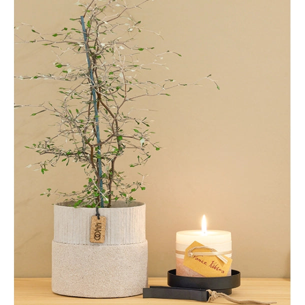 Lübech Living Jubilee Pot / Übertopf -light grey-