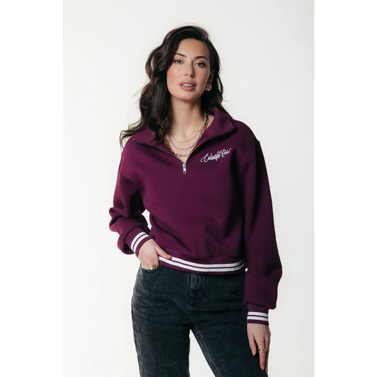 Colourful Rebel Uni striped Cuff Zip Sweatshirt - merlot red