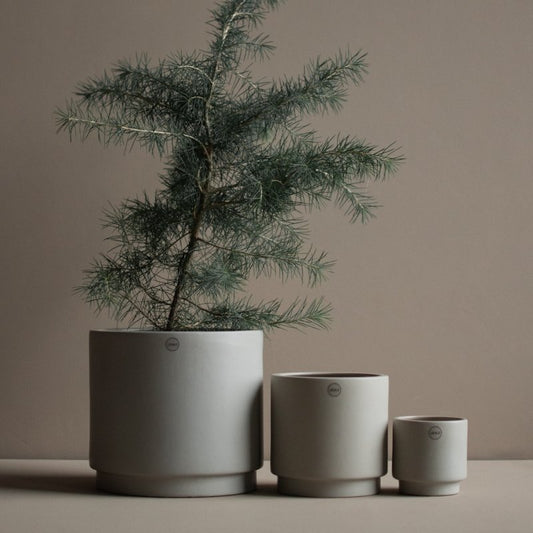 DBKD Solid/ Blumentopf - mole