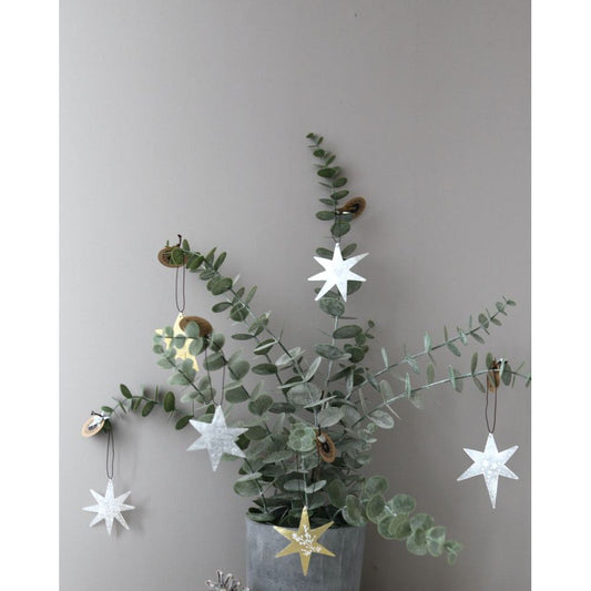 Good old friends Capizsterne -Zweig- gold