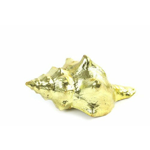 Dekomuschel, gold