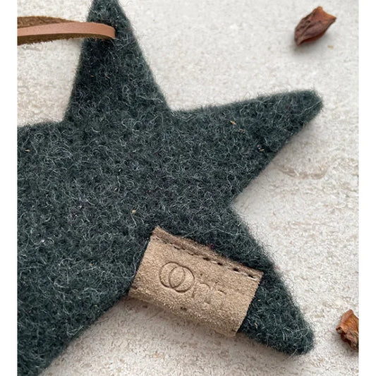 Lübech Living Ornament Star -green-
