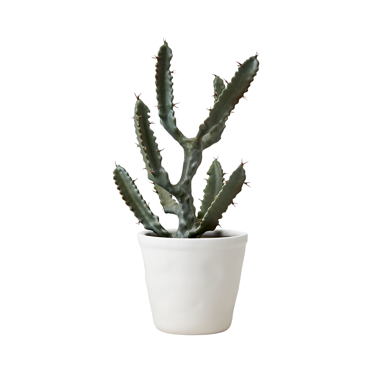 Affari Cocos Topf S - weiß