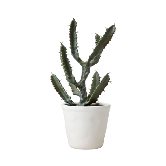 Affari Cocos Topf S - weiß