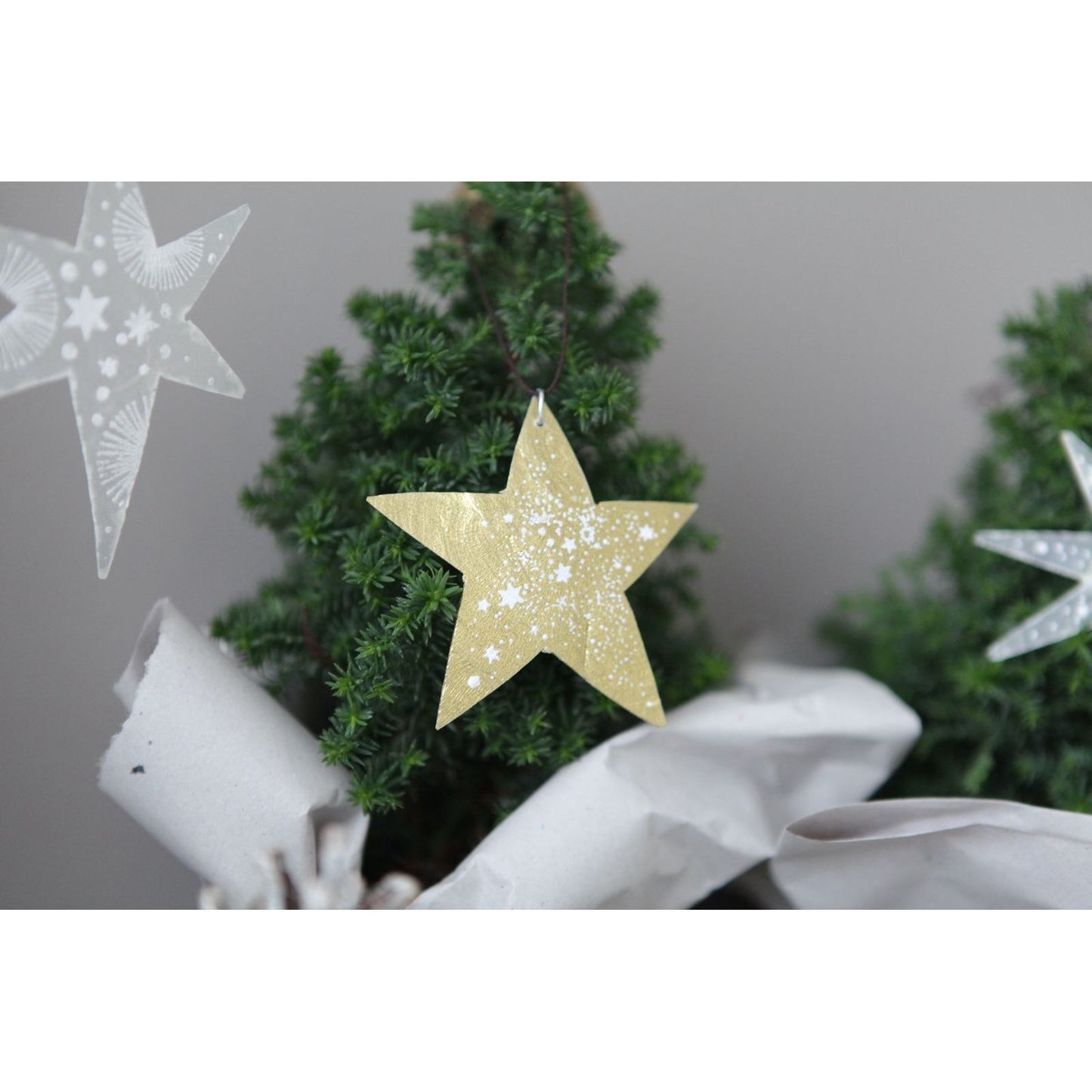 Good old friends Capizsterne -Sterne- gold