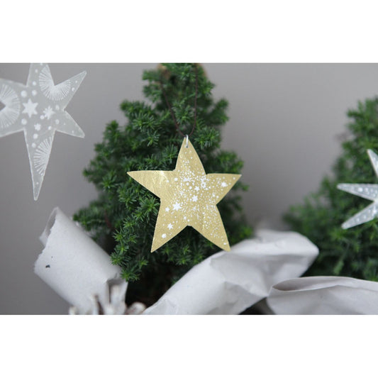 Good old friends Capizsterne -Sterne- gold