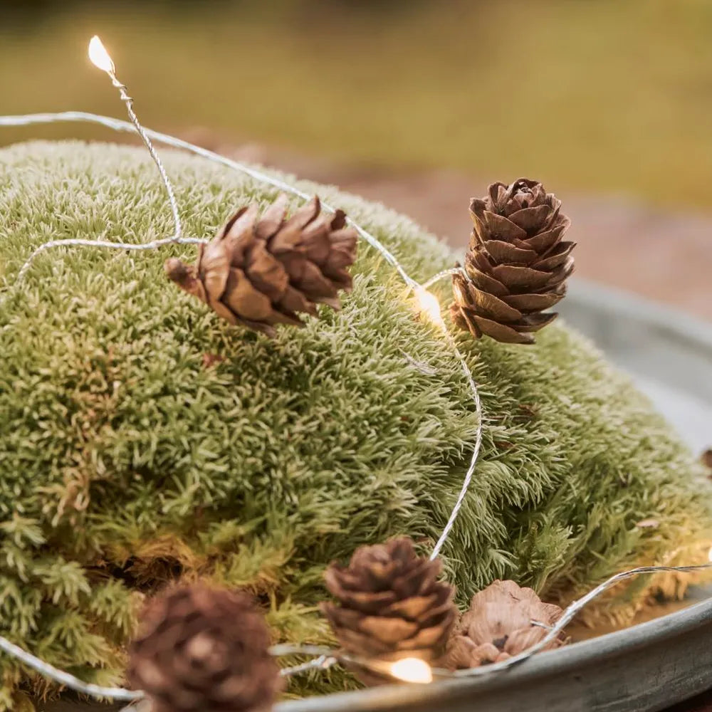 Ib Laursen Lichterkette mit 10 LED-Lichtern und Zapfen