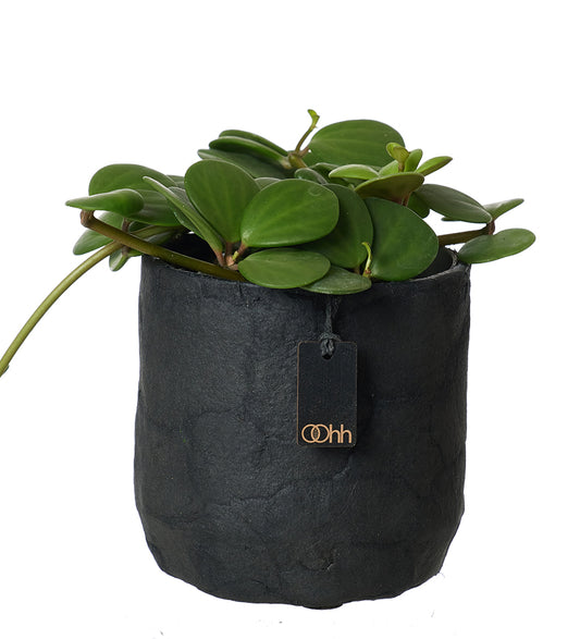Lübech Living Pulp flower pot. Zero Waste - schwarz