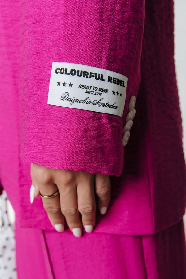 Colourful Rebel Uni einreihiger Blazer