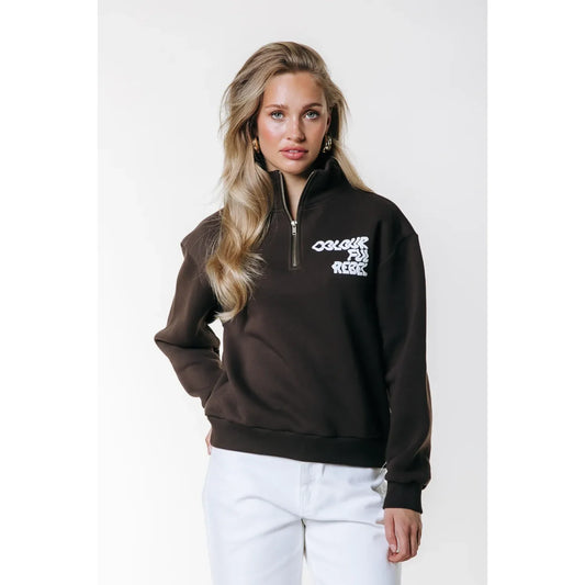 Colourful Rebel Logo Wave Zip Sweatshirt - braun