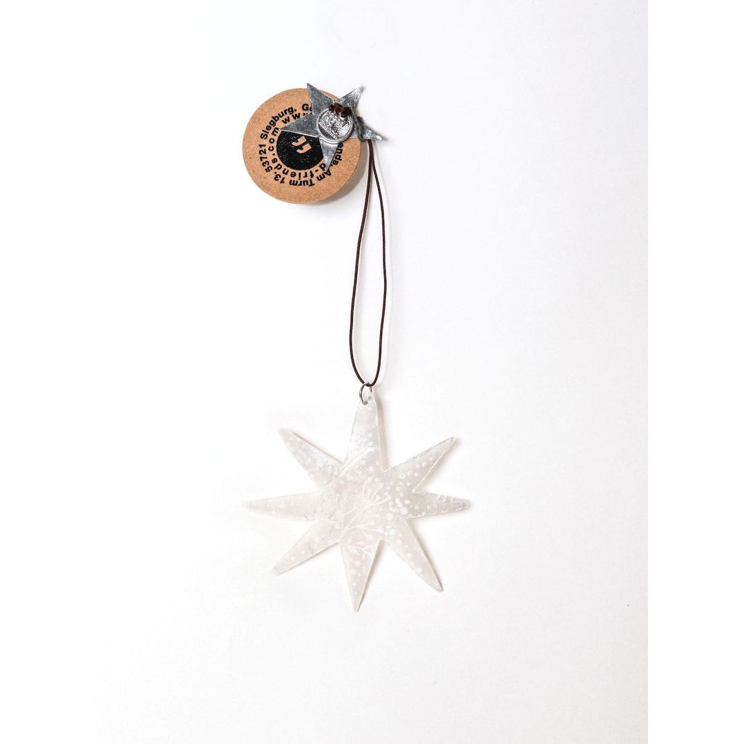 Good old friends Capizsterne -Zweig- silber