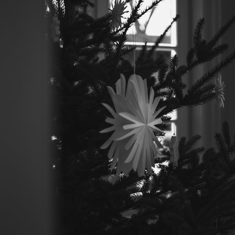 DBKD Paperflake large - white