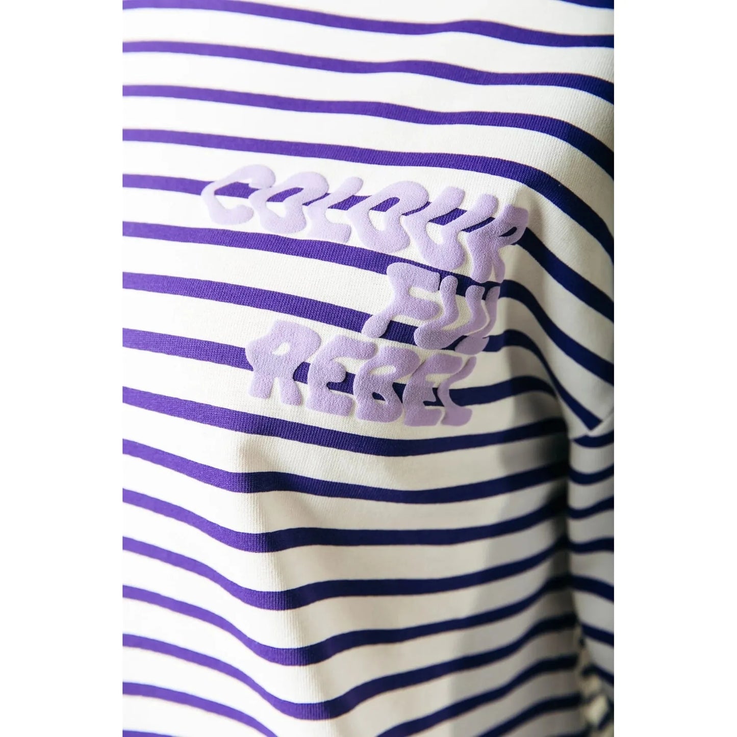 Colourful Rebel Logo Wave Stripe Longsleeve Shirt -lila-