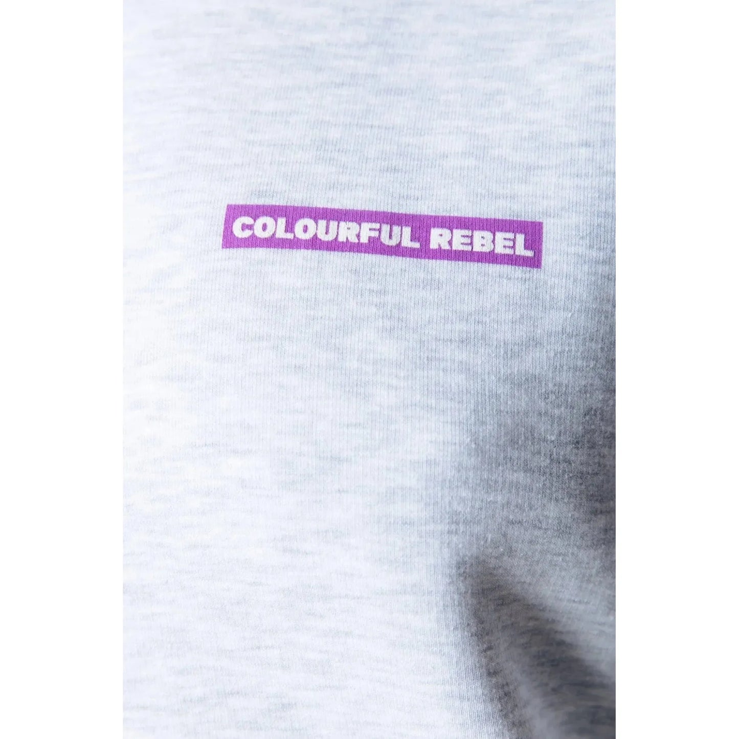 Colourful Rebel Kapuzenpullover -hellgrau-