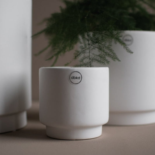 DBKD Solid/ Blumentopf - white