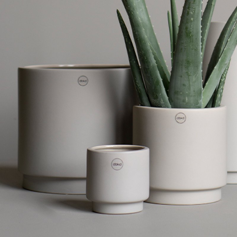 DBKD Solid/ Blumentopf - mole