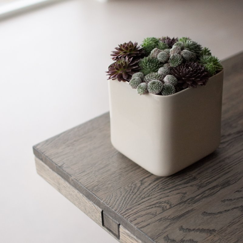 DBKD Cube Pot / Vase small - shiny mole