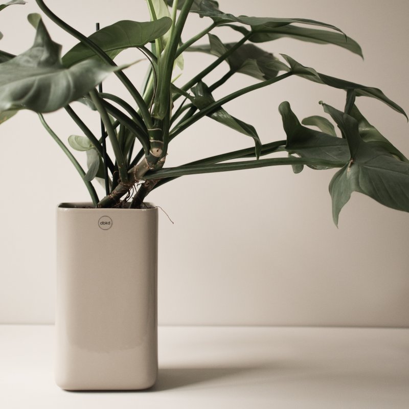 DBKD Cube Pot / Vase large - shiny mole