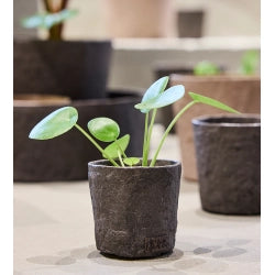 Lübech Living Terra mini pots S - Caffe