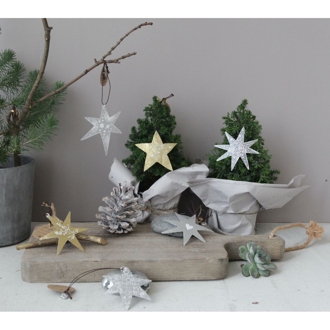 Good old friends Capizsterne -Sterne- gold