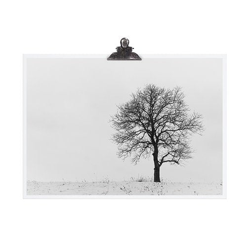 Tafelgut Poster -Old Tree in Winter-